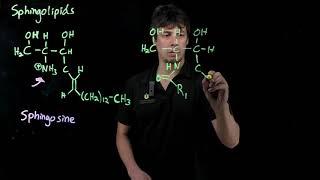 Topic 11.6A - Sphingolipids