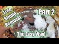 Possibly The Easiest Way To Remove A Tree Stump! Using Epsom Salt!! Part 2 | Update & Improvement!