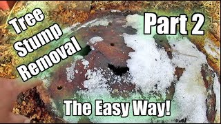Possibly The Easiest Way To Remove A Tree Stump! Using Epsom Salt!! Part 2 | Update & Improvement!