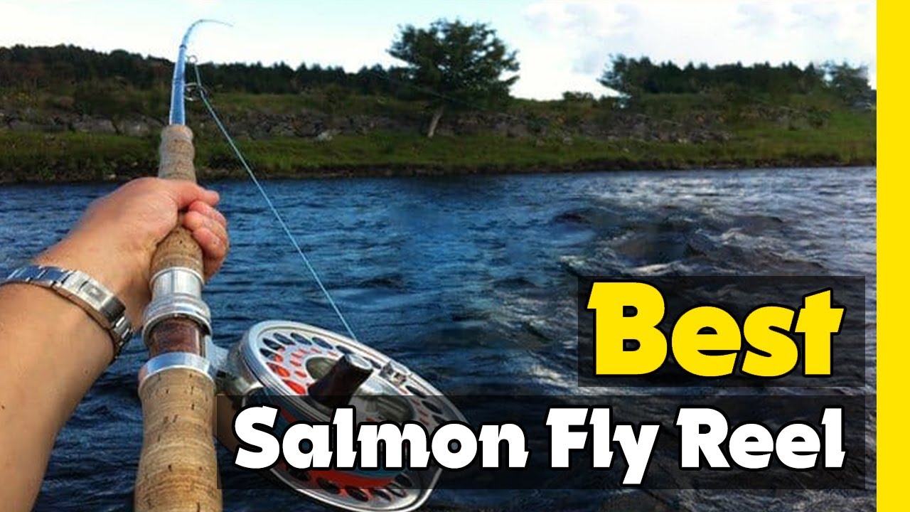 Top 5 Best Salmon Fly Reel In 2023 🎣 [ Amazon Hardy Fly Reels Review