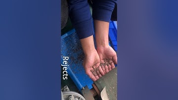 Angelon double belt cable recycling color sorting machine/jasmine@ajlong.cn