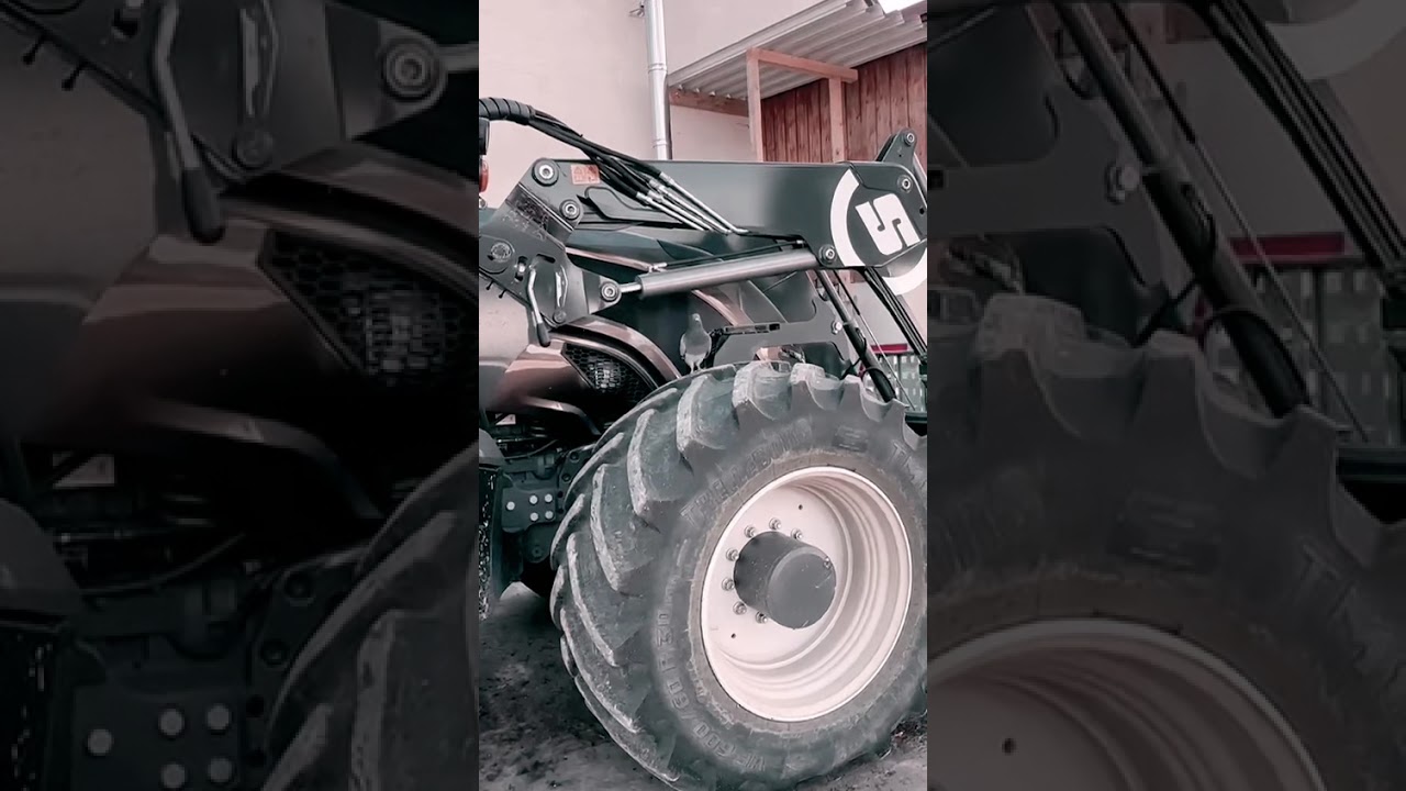 Loki on vacation on a farm