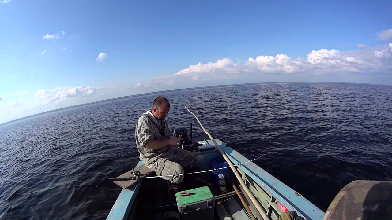 про рыбалку на белом море в августе видео