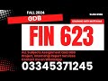 fin 623 GDb Solution fall 2024