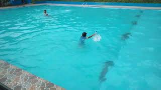 Download Lagu SADEWA keisha Alvaro keasikan belajar berenang......alias mbatang 12 Desember 2021 MP3