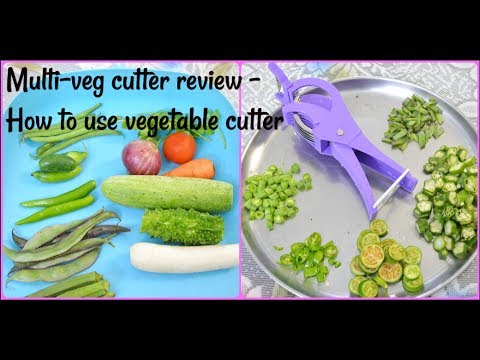 Multi Veg Cutter