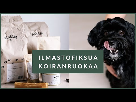 Video: Raaka Koiranruoka Perusteet