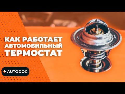 Как работает автомобильный термостат, принцип действия | AUTODOC #autodoc #lifehack - Смотреть видео с Ютуба без ограничений