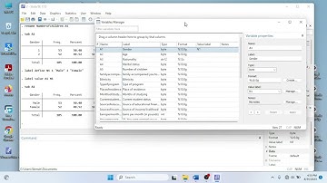 How to label values in a variable in STATA