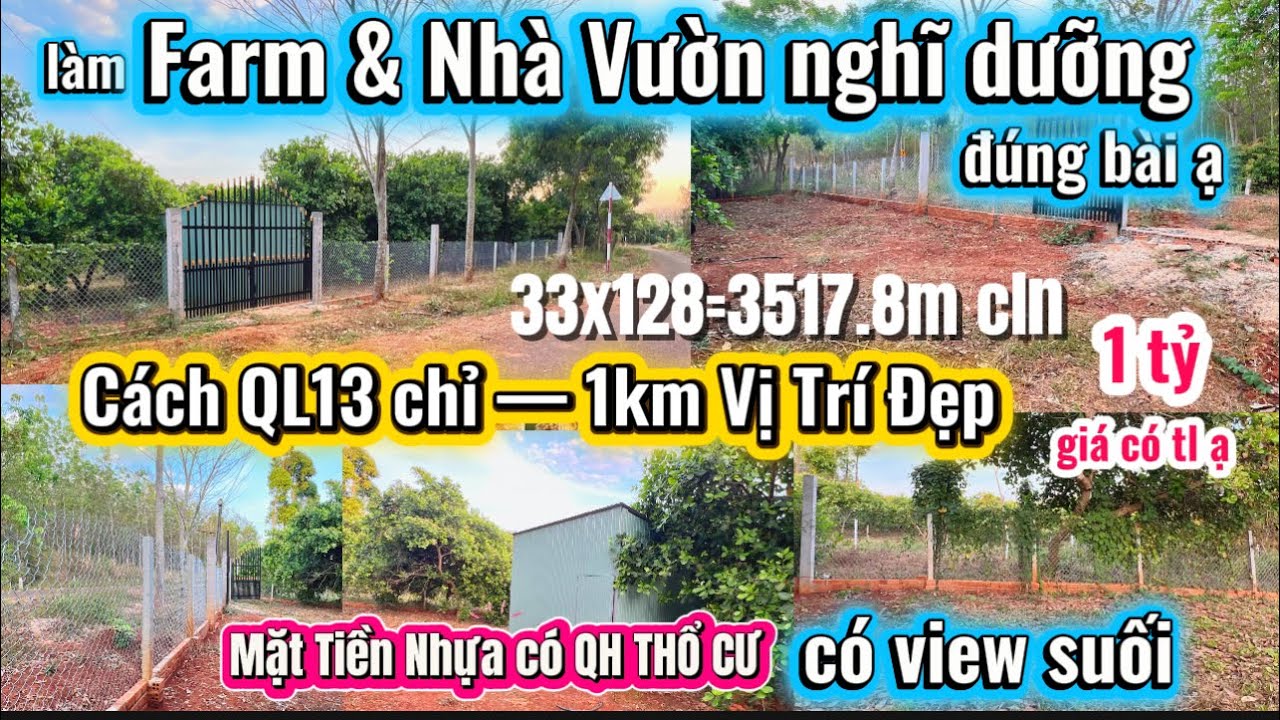 Số 1654☘️ Đất Đỏ BaZan + MẶT TIỀN NHỰA + view suối mữa thì làm VƯỜN TRÁI CÂY là đúng bài hén Cả Nhà🤩