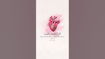 استمع الى القرآن الكريم ولا تقطعه أجر لي ولك🎀🤲🏻🥺✨🧕🏻
