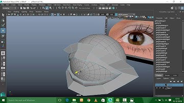 maya human eye