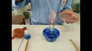 MIKROBIOLOGI FARMASI - Analisis mikroba pd bahan pangan dan obat