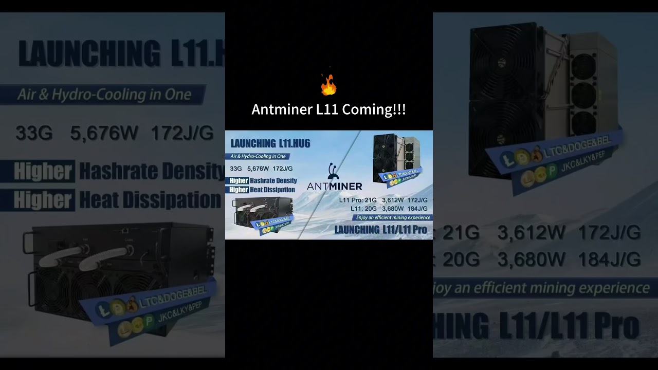 KING of DOGE/LTC MINING!🔥 Antminer L11 