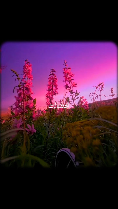 Ya Taiba Naat | ayisha Abdul Basith | #yataiba #ayishaabdulbasith #arabicnasheed #islamicsong