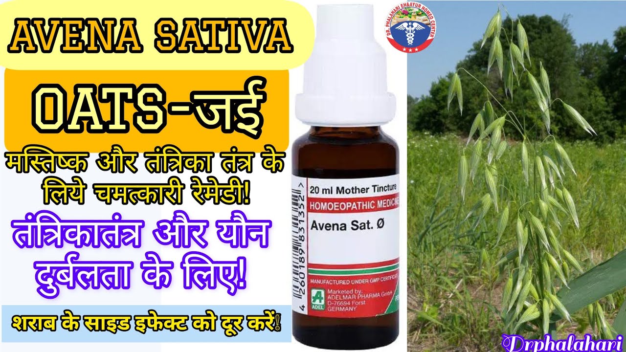 Avena Sativa Uses & Symptoms in Homeopathy by Drphalahari YouTube