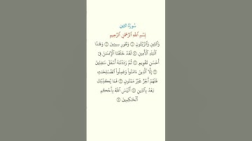 القرآن الكريم سورة التين #علاء_عقل #قران_كريم #اكسبلور