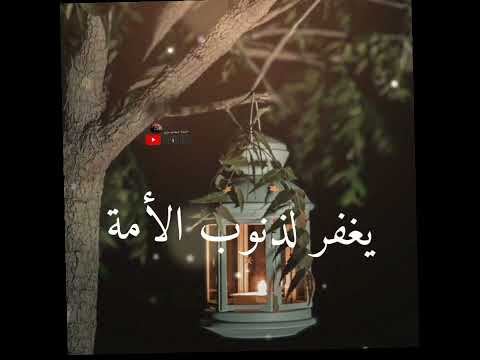 شهر الخير وحب الغير رمضان رمضان حالات واتس اب رمضانيه تامر حسني 2024