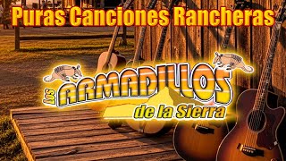 Puras Canciones Rancheras De Los Meros Meros  DUETO LOS ARMADILLOS MIX