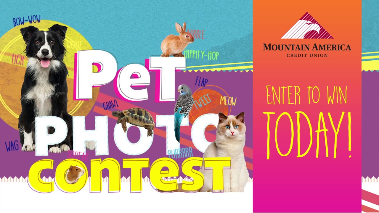 unioncom Enter the 2019 Mountain America Pet Photo Contest!