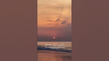 تـلاوة|الشيخ|محمد اللـحيدان|#تلاوة_مميزة#تلاوة_خاشعة#تلاوة_هادئة#محمد_اللحيدان#قرآن#قران_كريم#quran|