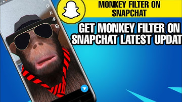 How To Get Monkey Face Filter On Snapchat 2020