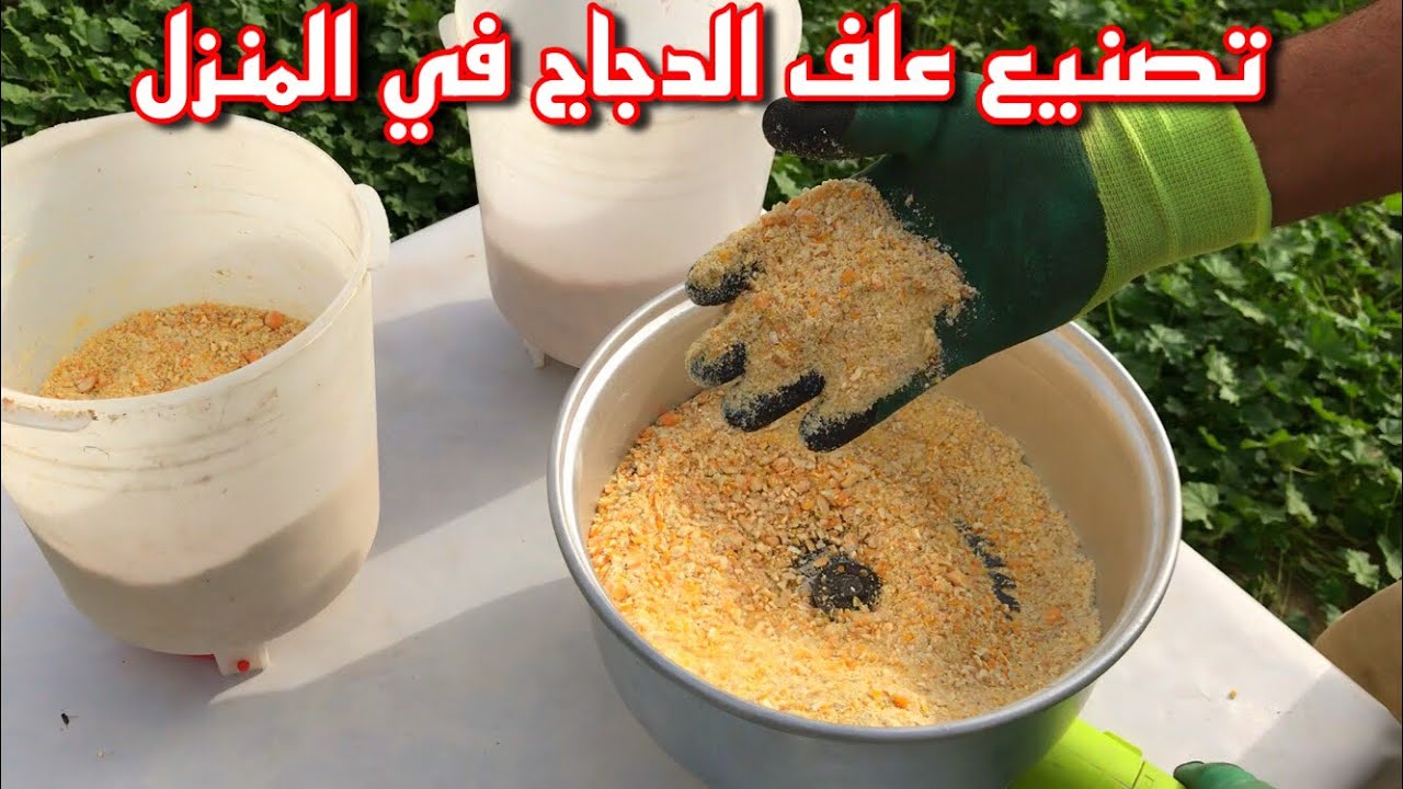 ًطريقة سهلة لصناعة علف الدجاج في المنزل