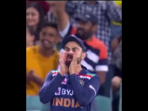 Virat Kohli fan