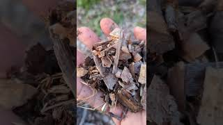 Composting 101: More Options for Brown Materials
