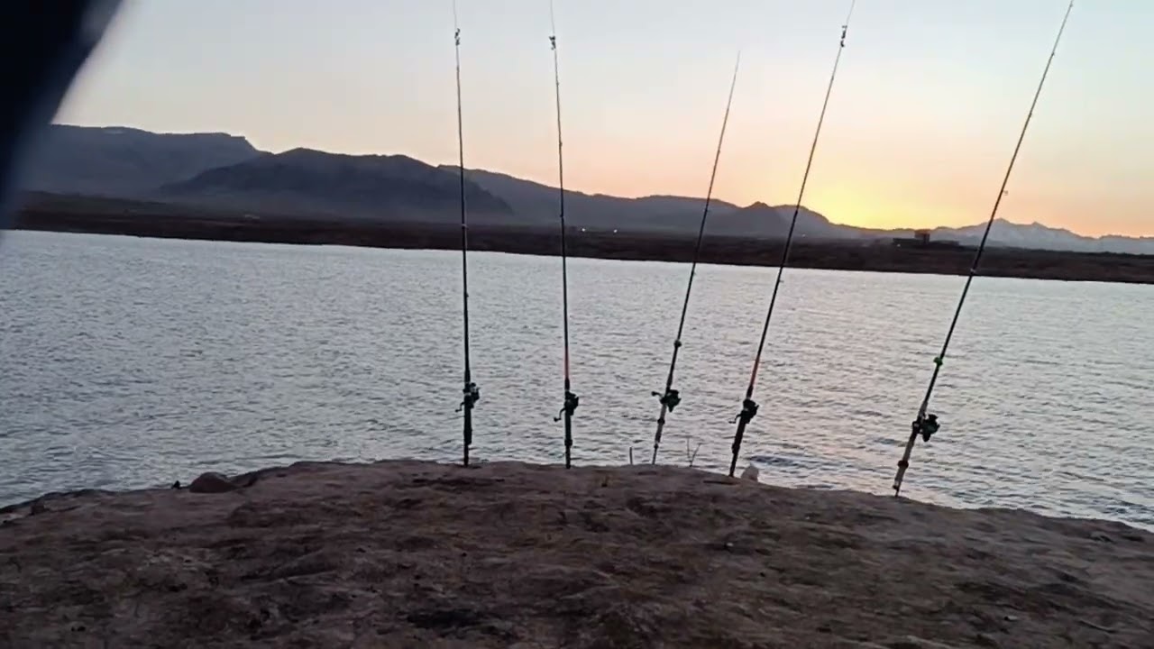 طبیعت آخرین پناه آرامش من است🖤