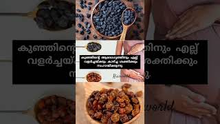 ഗർഭിണികൾ ഉണക്ക മുന്തിരി കഴിച്ചാൽ ഉണ്ടാകുന്ന ഗുണങ്ങൾ #preganacy #malayalam #pregnant #raisin
