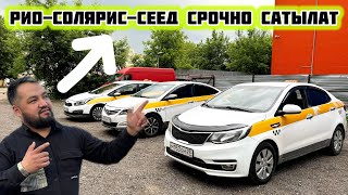 Солярис Рио Сеед 3 штук Машина Продаётся#89683742948