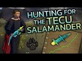 I hunted the tecu salmander for 10 hours