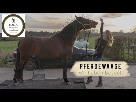 Pferdewaage | Wer