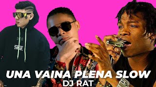 UNA VAINA PLENA SLOW - DJ RAT PLENAS DE EL KID, ROOCKIE, FRANCISKAO Y MAS #MIX2023 @LaTakillaMixes 