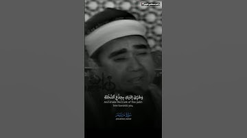 وهزى إليك بجذع النخلة🌴 القارئ راغب مصطفي غلوش🤍🎙️سورة مريم