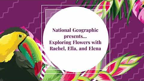 Rachel, Ella, and Elenas Science Plant Lab