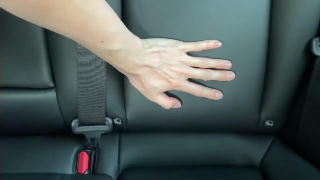 테슬라 잡소리 모음 tesla squeaky noise YouTube