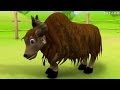 Yak Rhymes | Alphabet Song 3d nursery rhymes for kids | Y for yak songs
