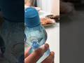 I bought a nostalgic Japanese ramune #groceryhaul #japan #eating #japanvlog #soulfood #vlog