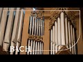 Bach - Allein Gott in der Höh sei Ehr BWV 676 - Van Doeselaar | Netherlands Bach Society