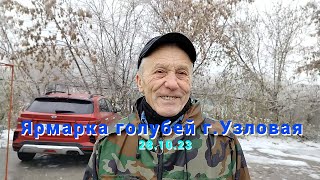 Ярмарка голубей г.Узловая 28.10.23