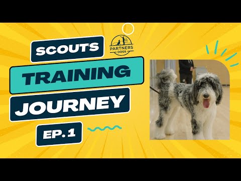 Scout  Episode 1 video thumbnail