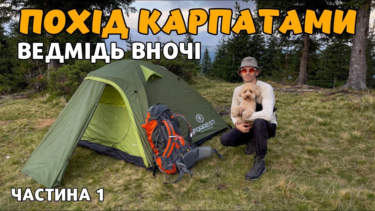 ПОХІД в КАРПАТИ з НОЧІВЛЕЮ по ГРИБИ (24 години)(4K)