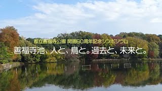 石神井・善福寺公園 (1981年) (東京公園文庫〈30〉) 石神井公園 | 東京とりっぷ