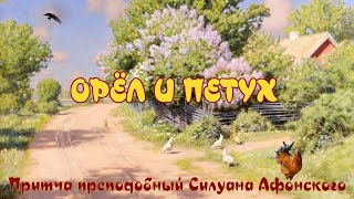 Орел И Петух. Притча Дня