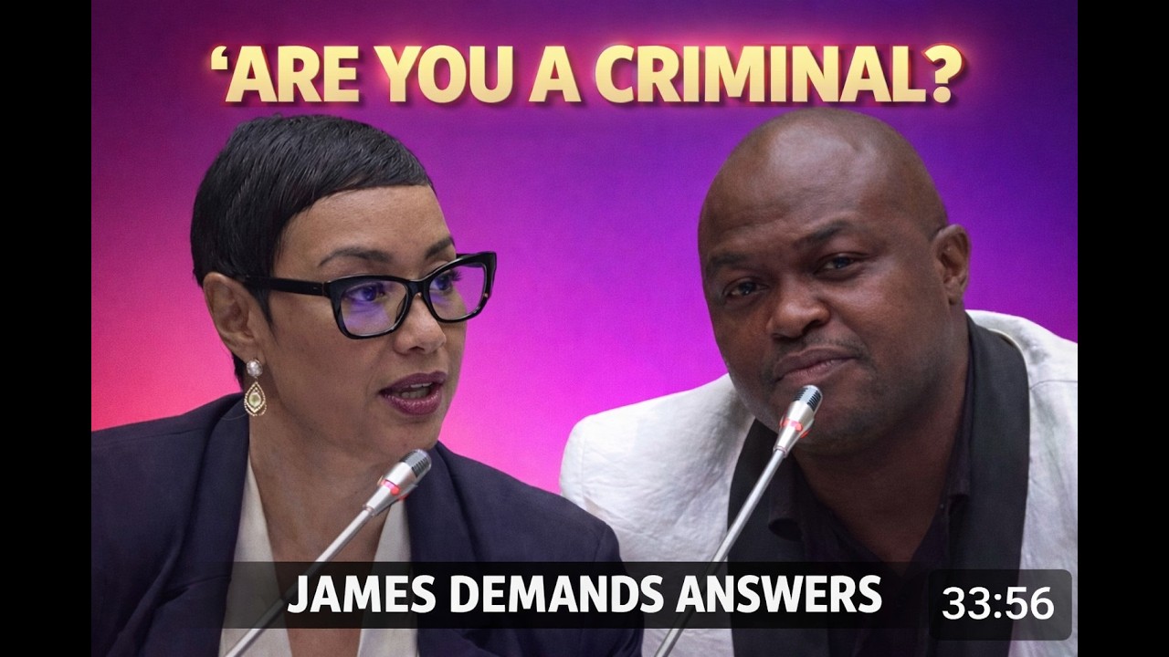 HONOURABLE JAMES PRESSES BROWN MOGOTSI ON “AGENT” CLAIMS | AD HOC COMMITTEE