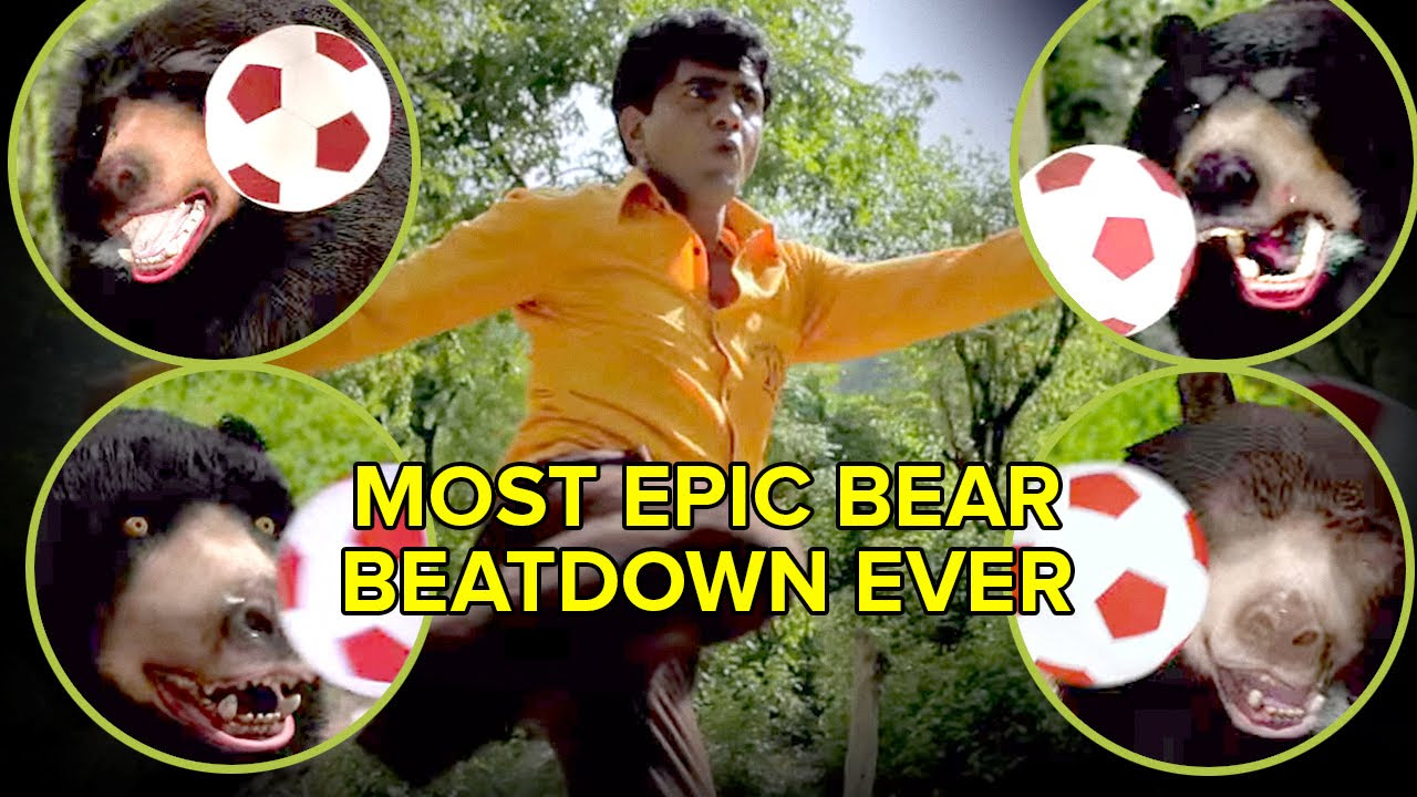 Most Epic Bear Beatdown Ever  Dear vs Bear