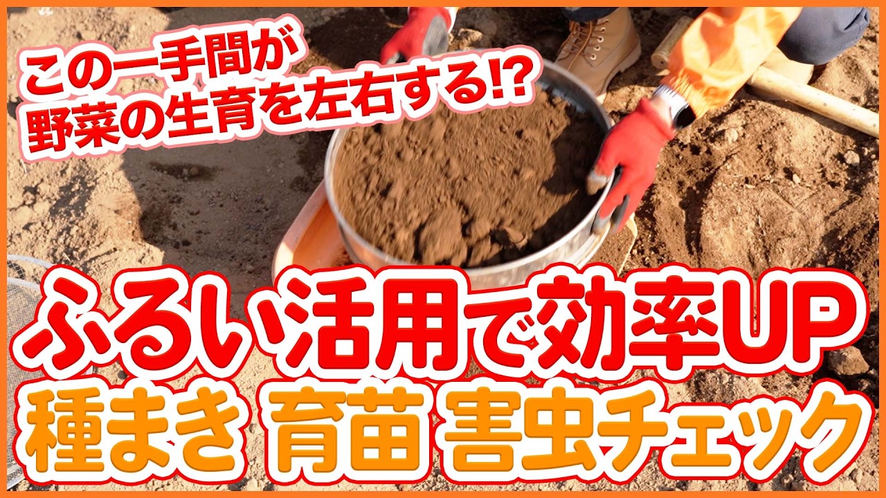【家庭菜園】ふるい活用で作業効率UP！種まき・育苗・害虫チェックを解説！【シェア畑】【農園ライフ】