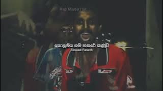 කොලනිය ගම හතරේ කණුව | Slowed Reverb | Member of the Haula | Rap Musix Hut